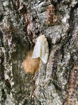 Mystery photo thumbnail