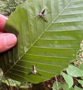 Sticky situation thumbnail