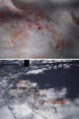 WITWIT-april27-18-web.jpg thumbnail