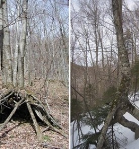 WITWIT-april28-2017.jpg thumbnail