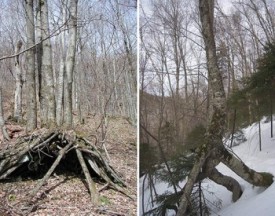 WITWIT-april28-2017.jpg thumbnail