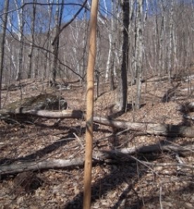 Mystery Photo thumbnail