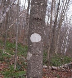WITWIT-dec22.jpg thumbnail