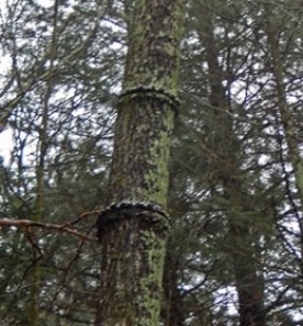 WITWIT-feb15_19.jpg thumbnail