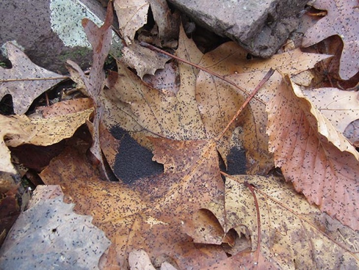 WITWIT-jan20.jpg Image