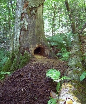 WITWIT-july18-18.jpg thumbnail