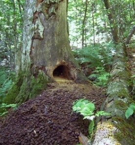 WITWIT-july18-18.jpg thumbnail