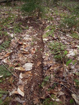 WITWIT-june8.jpg thumbnail