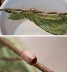 WITWIT-june9-w.jpg thumbnail
