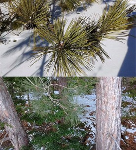 WITWIT-march-1-19.jpg thumbnail