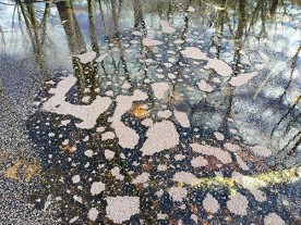 WITWIT-march2-18.jpg thumbnail