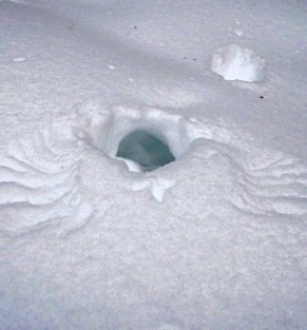 WITWIT-march30.jpg thumbnail