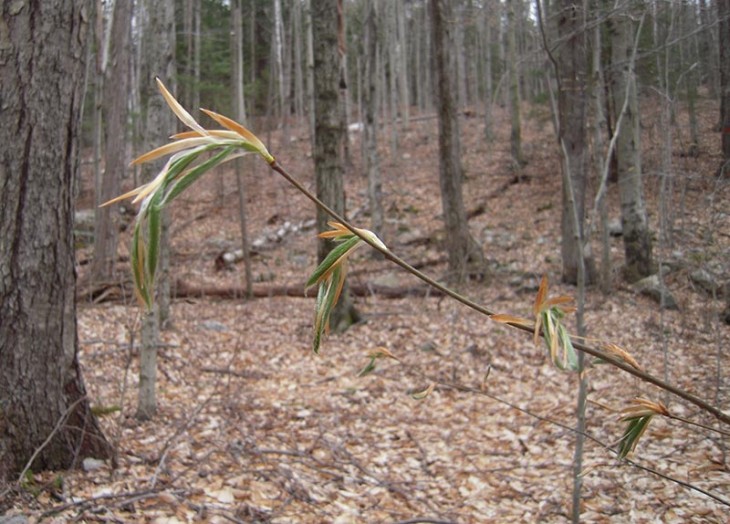 WITWIT-may-26-17.jpg Image