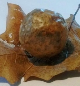WITWIT-Nov10.jpg thumbnail