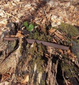 Mystery Photo thumbnail