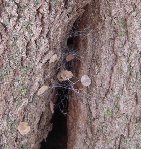 WITWIT-november21.jpg thumbnail