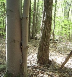 WITWIT-sept-29.jpg thumbnail