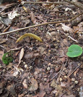 WITWIT-sept28.jpg thumbnail