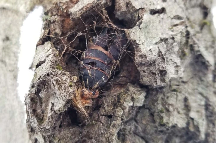 Mystery photo Image