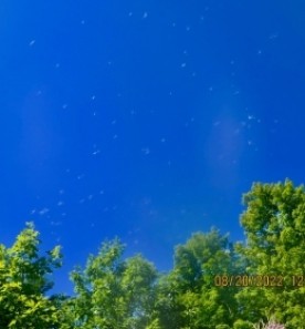 Seeing stars mystery thumbnail