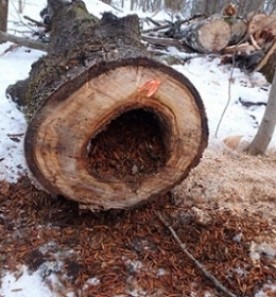 WITWIT_Feb17_mystery.jpg thumbnail