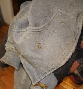 WITWIT_January_8.jpg thumbnail