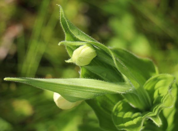 WITWIT_june26_QUESTION.jpg Image