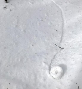 March 5 Mystery thumbnail