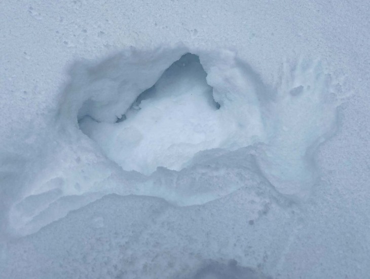 Mystery snow Image