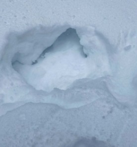 Mystery snow thumbnail