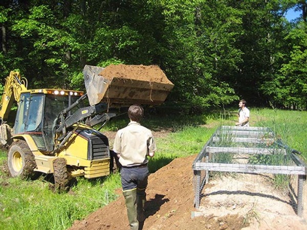 Saving the Wood Turtle