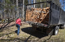 The Wood That Keeps Us Warm Photo: John Lazenby