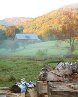 The Diminishing Woodpile thumbnail