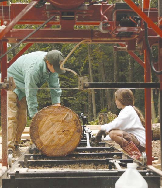 At Work and at Play in the Northeastern Forest