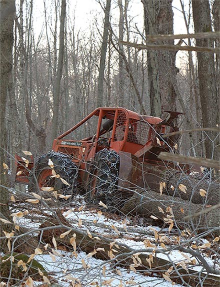 Loggers Struggle with Workers’ Comp Insurance Rates