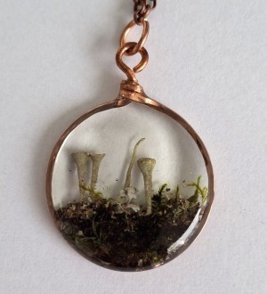 WP-01-lichen-moss-ripples.jpg thumbnail