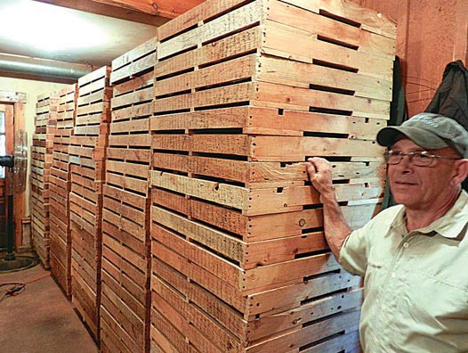 Christmas in July: At Work Making the World Smell Better with the Maine Balsam Fir Company