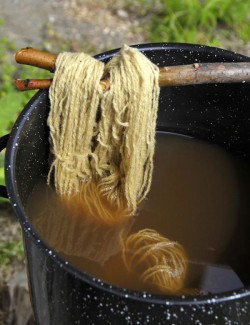 yarn10.jpg