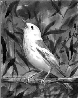 yellow_warbler_cropped.jpg thumbnail