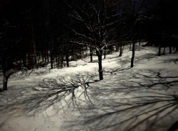 10-hopkins-moon-shadow.jpg Photo: David Hopkins