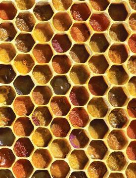 1000-words_sum11.jpg thumbnail