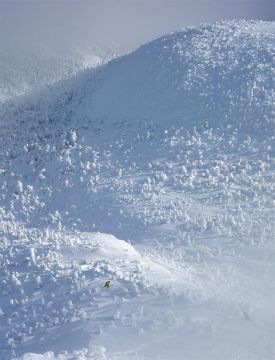 1000_words_snowy_mountain_win17.jpg thumbnail