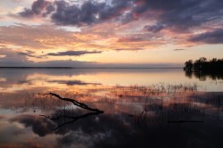 Evening sky Photo: Leif Tillotson