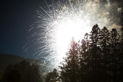 11_Forest_fireworks.jpg
