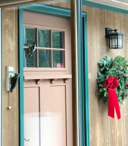 Woodpecker at the door Photo: Herb D’Arcy