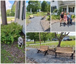 Bench views Photo: Emily S. Rowe