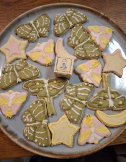 Moth cookies Photo: Emily S. Rowe