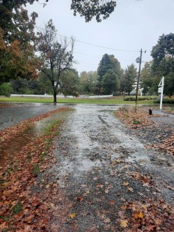 Garden rain Photo: Emily S. Rowe