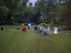 Fireflies arriv Photo: Emily S. Rowe