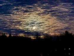 16-thompson-full-snow-moon.jpg Photo: Liz Thompson